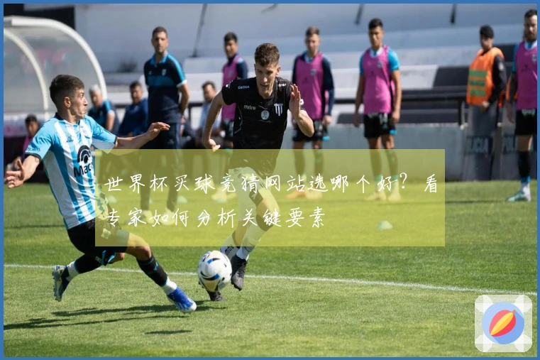 世界杯买球竞猜网站选哪个好？看专家如何分析关键要素