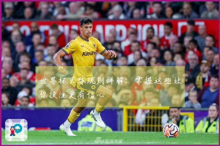 世界杯买球规则详解：掌握这些让你投注更有信心
