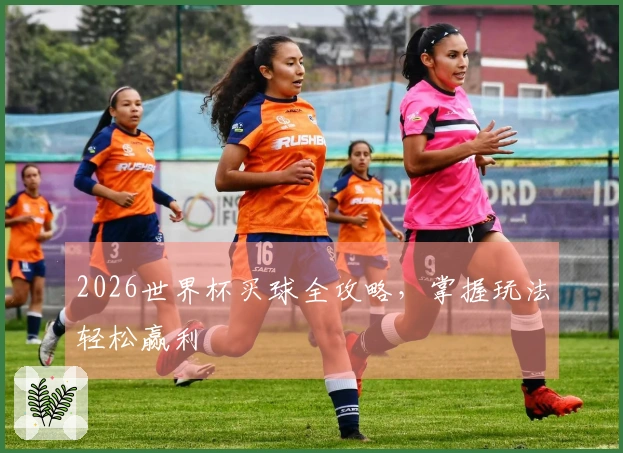 2026世界杯买球全攻略，掌握玩法轻松赢利