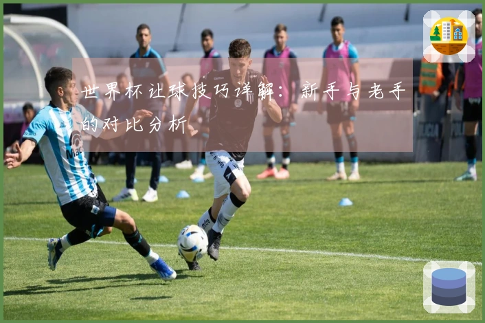 世界杯让球技巧详解：新手与老手的对比分析