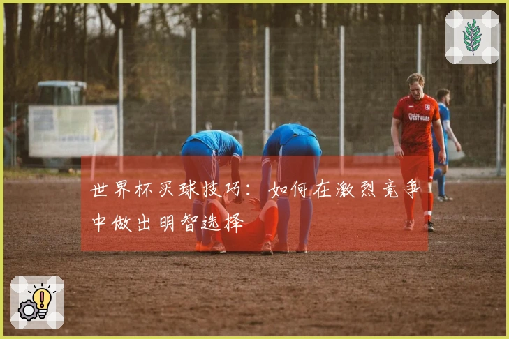 世界杯买球技巧：如何在激烈竞争中做出明智选择