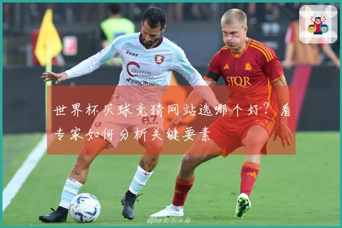 世界杯买球竞猜网站选哪个好？看专家如何分析关键要素