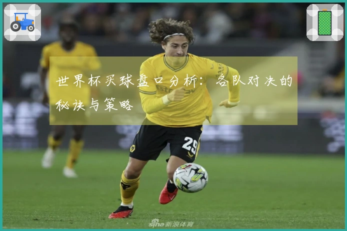 世界杯买球盘口分析：各队对决的秘诀与策略